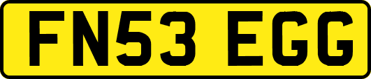 FN53EGG