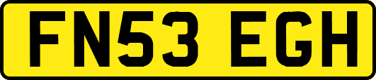 FN53EGH