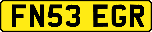 FN53EGR