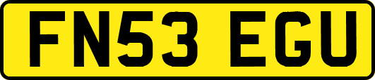FN53EGU