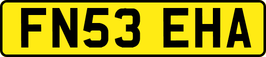 FN53EHA