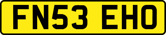 FN53EHO