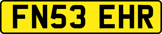 FN53EHR