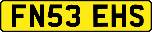 FN53EHS