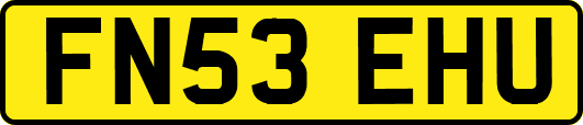 FN53EHU