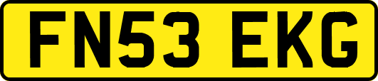 FN53EKG