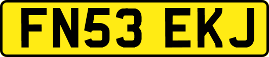 FN53EKJ