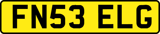 FN53ELG