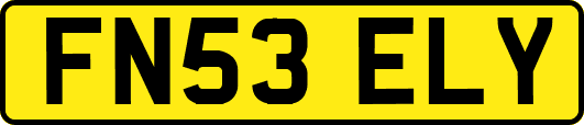 FN53ELY
