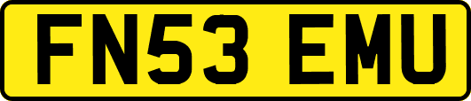 FN53EMU