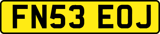 FN53EOJ
