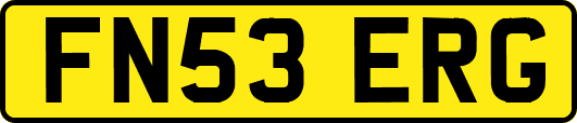 FN53ERG