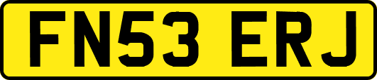 FN53ERJ