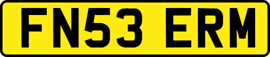 FN53ERM