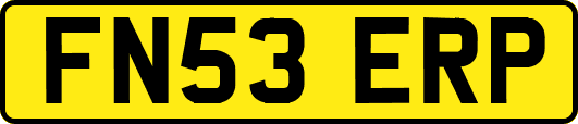 FN53ERP