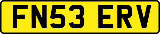FN53ERV