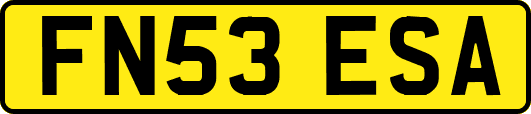 FN53ESA