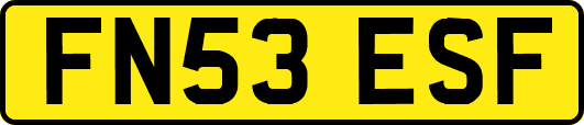 FN53ESF