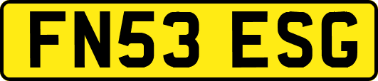 FN53ESG