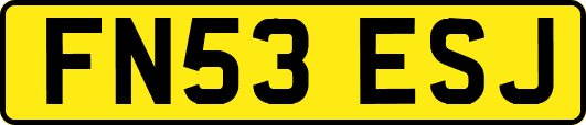FN53ESJ