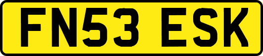 FN53ESK
