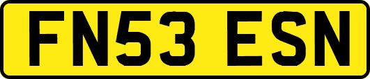 FN53ESN
