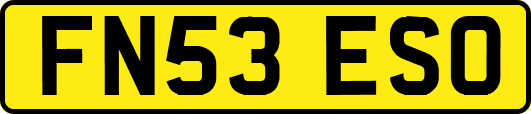 FN53ESO