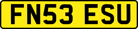 FN53ESU