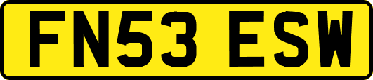 FN53ESW
