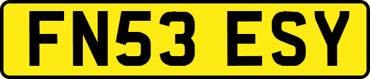 FN53ESY