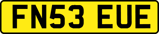 FN53EUE