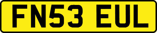 FN53EUL