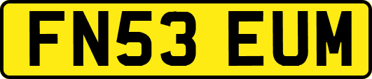 FN53EUM