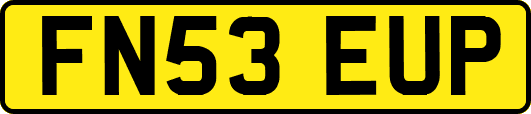 FN53EUP