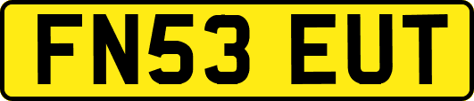 FN53EUT