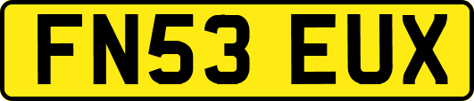 FN53EUX