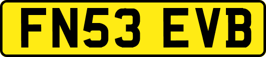 FN53EVB