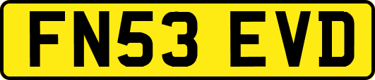 FN53EVD