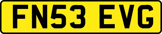 FN53EVG