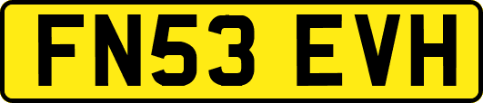 FN53EVH