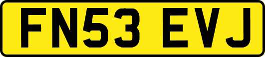 FN53EVJ
