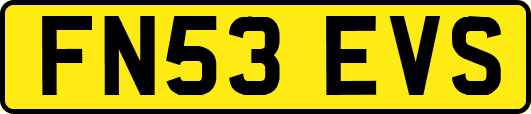FN53EVS