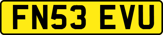 FN53EVU