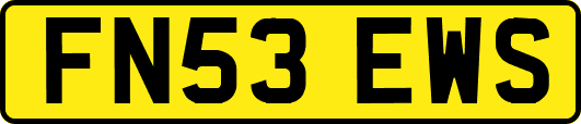 FN53EWS