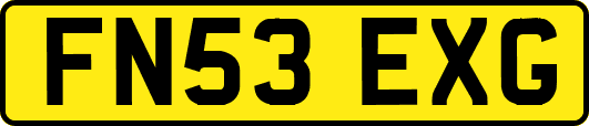 FN53EXG