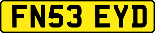 FN53EYD