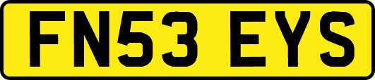 FN53EYS