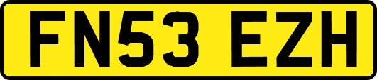 FN53EZH