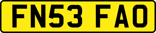 FN53FAO