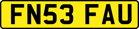 FN53FAU